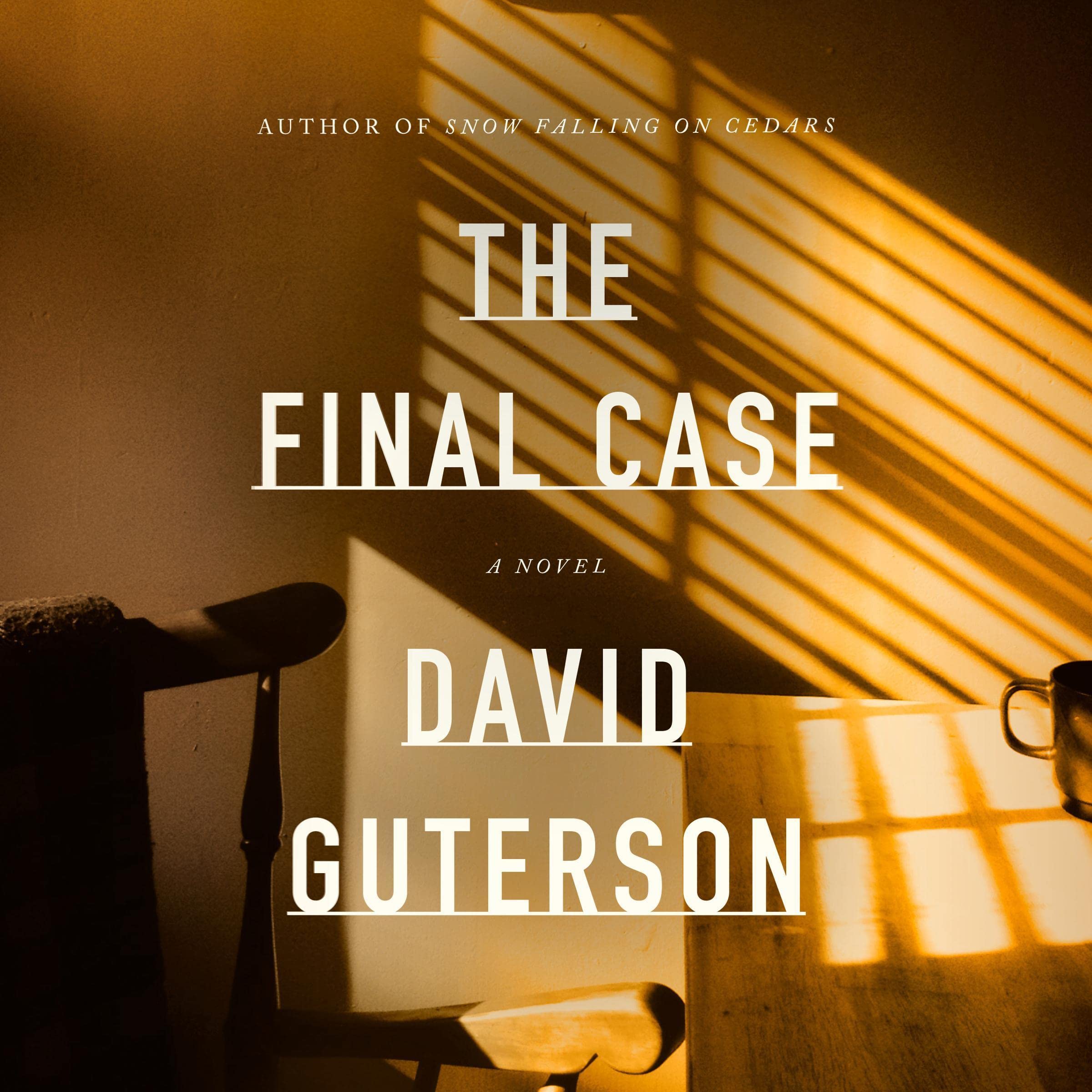 Cover art for The Final Case