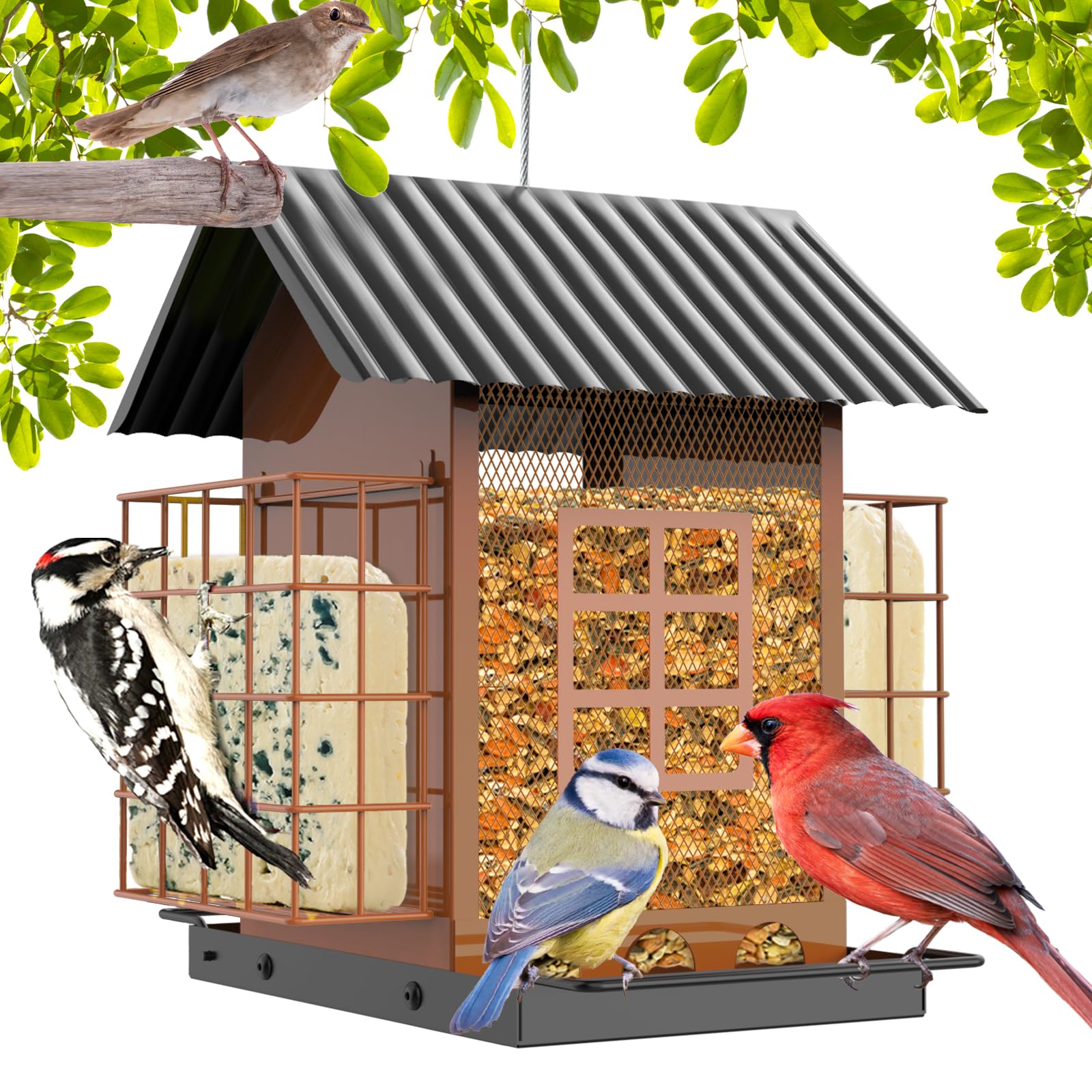 FlowaFoli Comederos para pájaros para Colgar al Aire Libre, comedero de Metal para pájaros con Doble Jaula de sebo, Gran Capacidad, comederos para pájaros Resistentes y Resistentes a la Intemperie