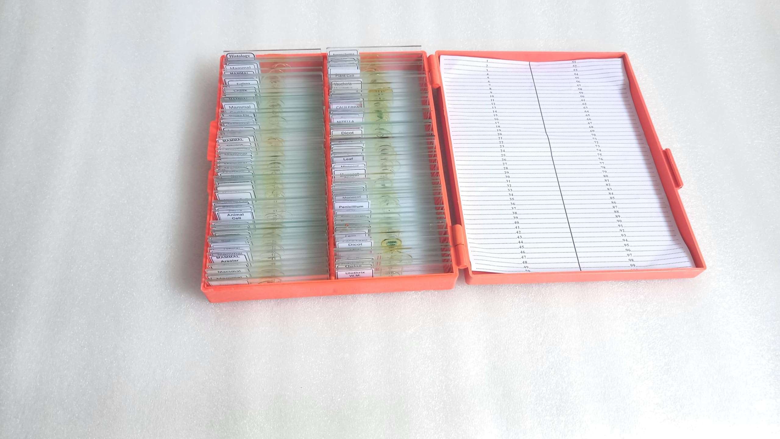 Mitosis and Meiosis Microscope Slide Set| Set of 13 Slide|-picture-15