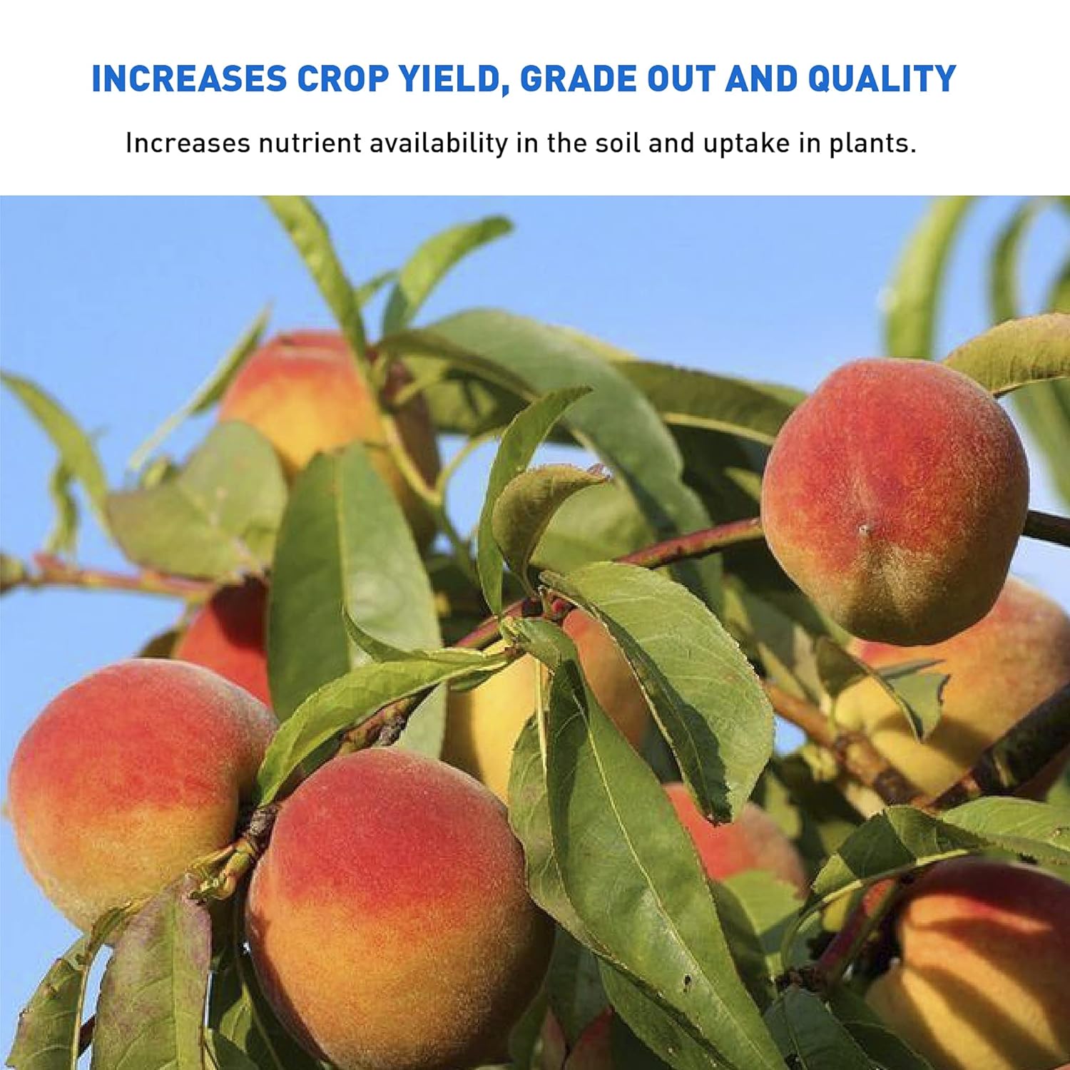 Azomite Micronized Bag, 44 lb 2 Pack