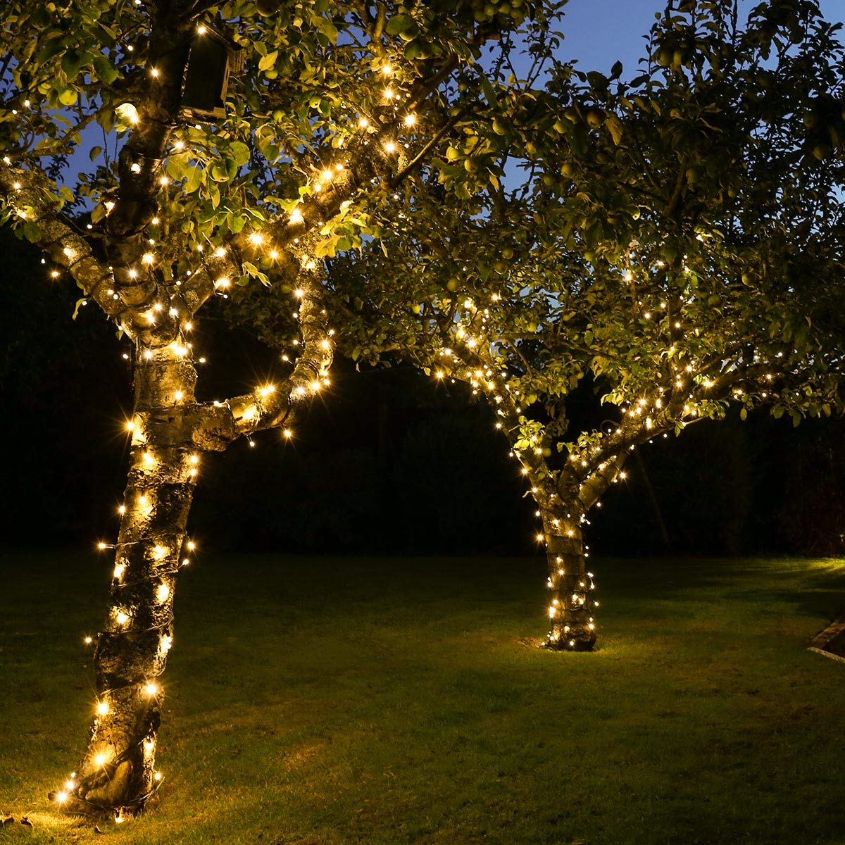 Festive Lights LED Lichterkette – ConnectPRO – erweiterbar bis 950m - wetterfeste Outdoor Profiqualität (Warmweiß, 20m)