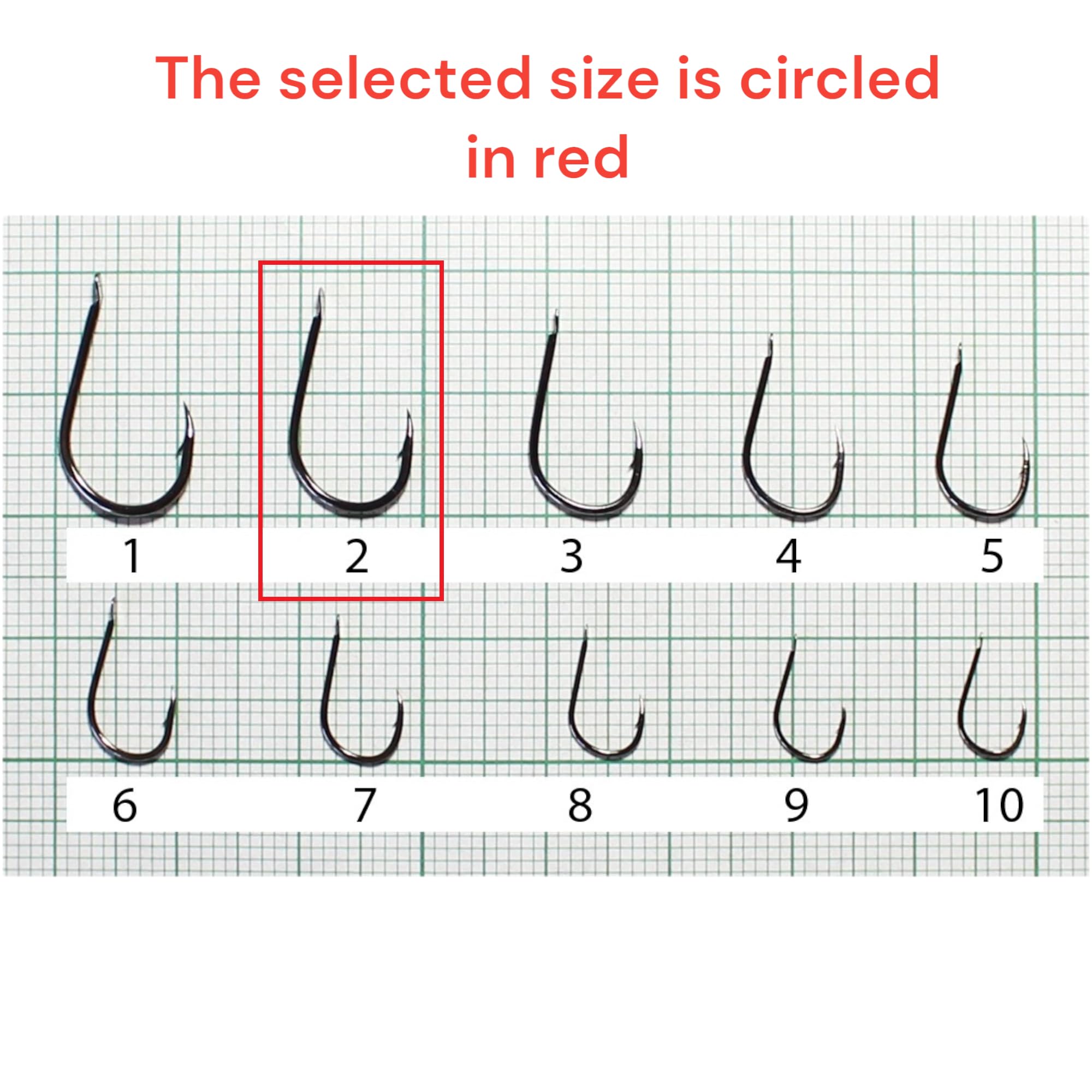 Set 10 Ami da Pesca Legati Nichel Nero N2 - Filo da Pesca Monofilo DIA 0,25mm 50cm - Monofilamento - Articoli - Accessori - Attrezzatura Completo - Fishing Hooks - Carpfishing Sport Set