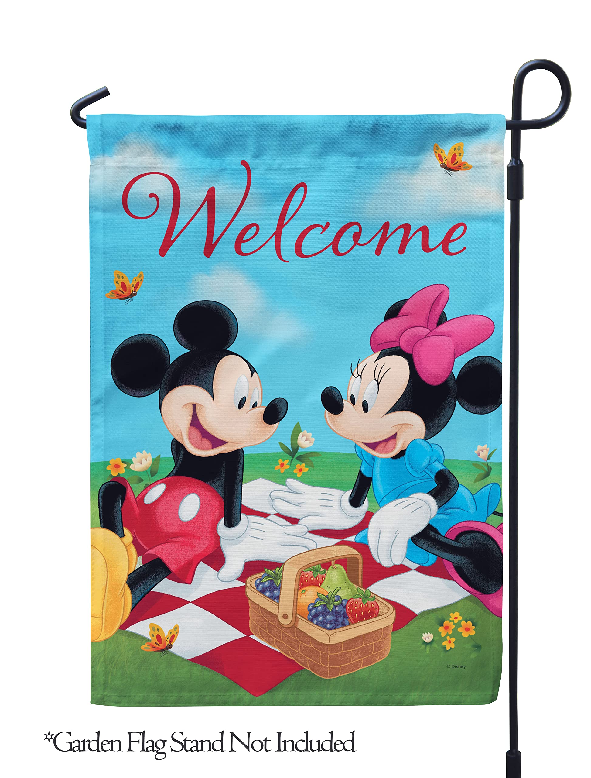 Amazon.com : Flagology, Disney Mickey and Minnie Picnic – Garden