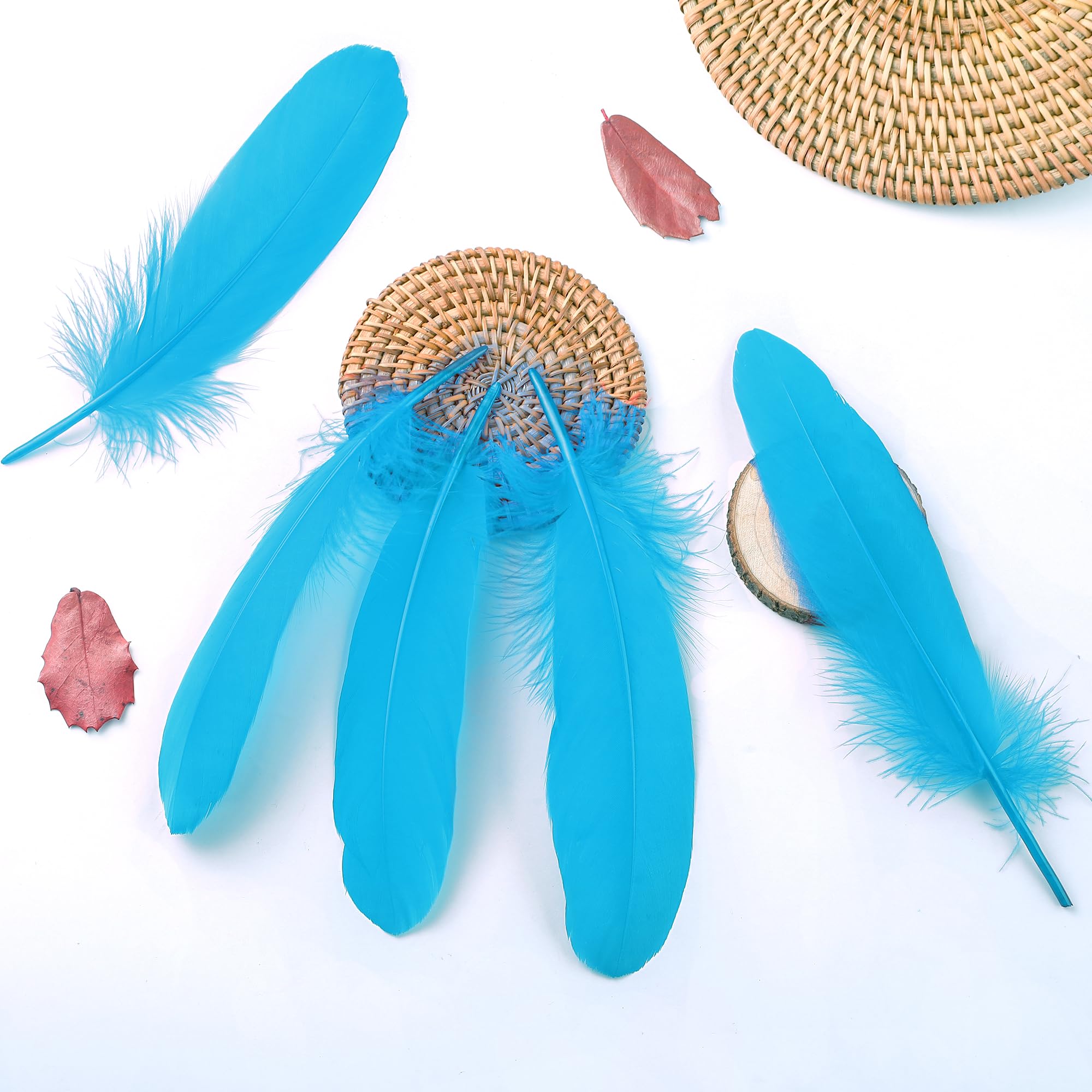 Amazon.com: Ballinger Turquoise Craft Feathers Bulk - 120Pcs 6