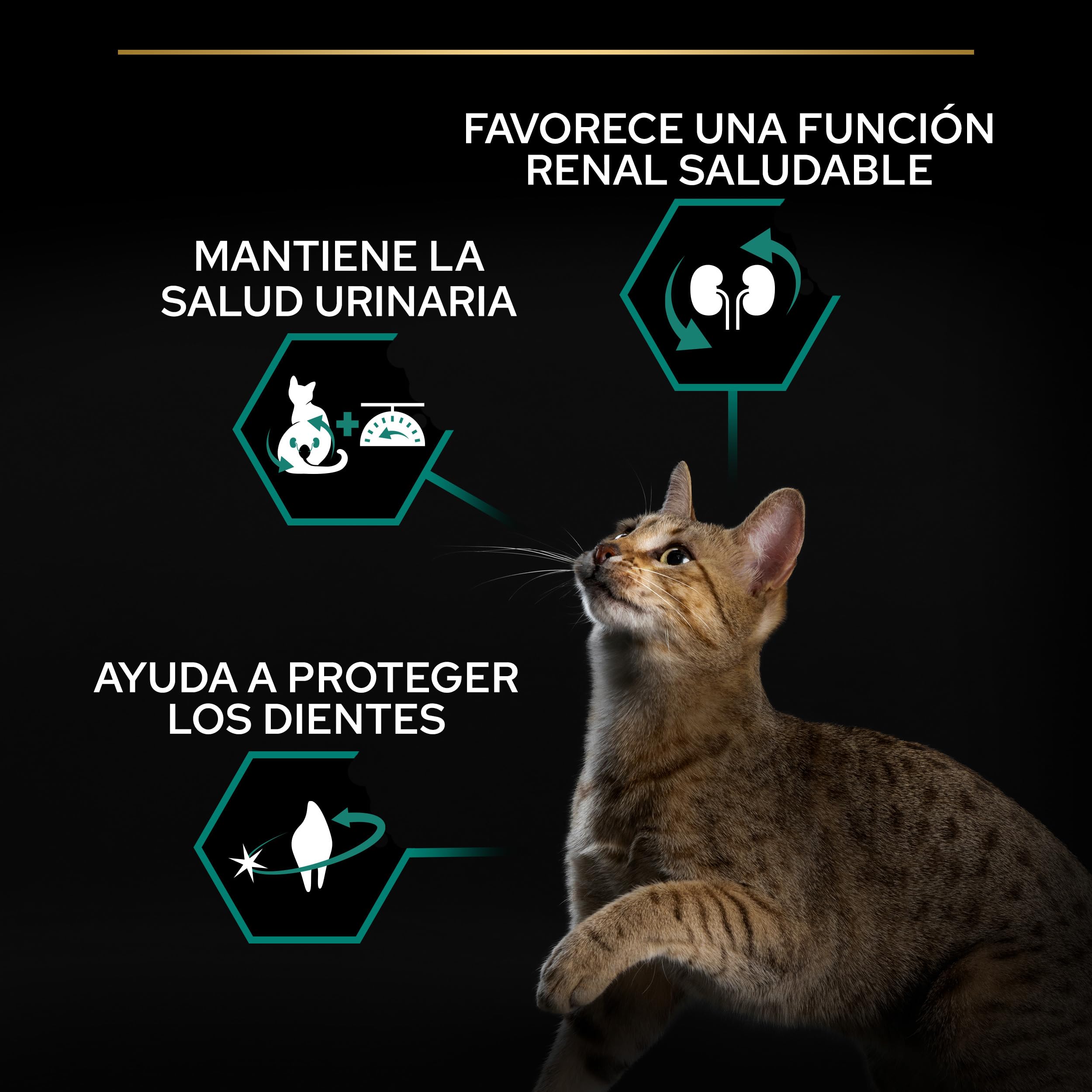 PURINA PRO PLAN Sterilised, Pienso para Gato Esterilizado Adulto, Comida Seca para gato con Pavo, 1 Saco de 10 kg