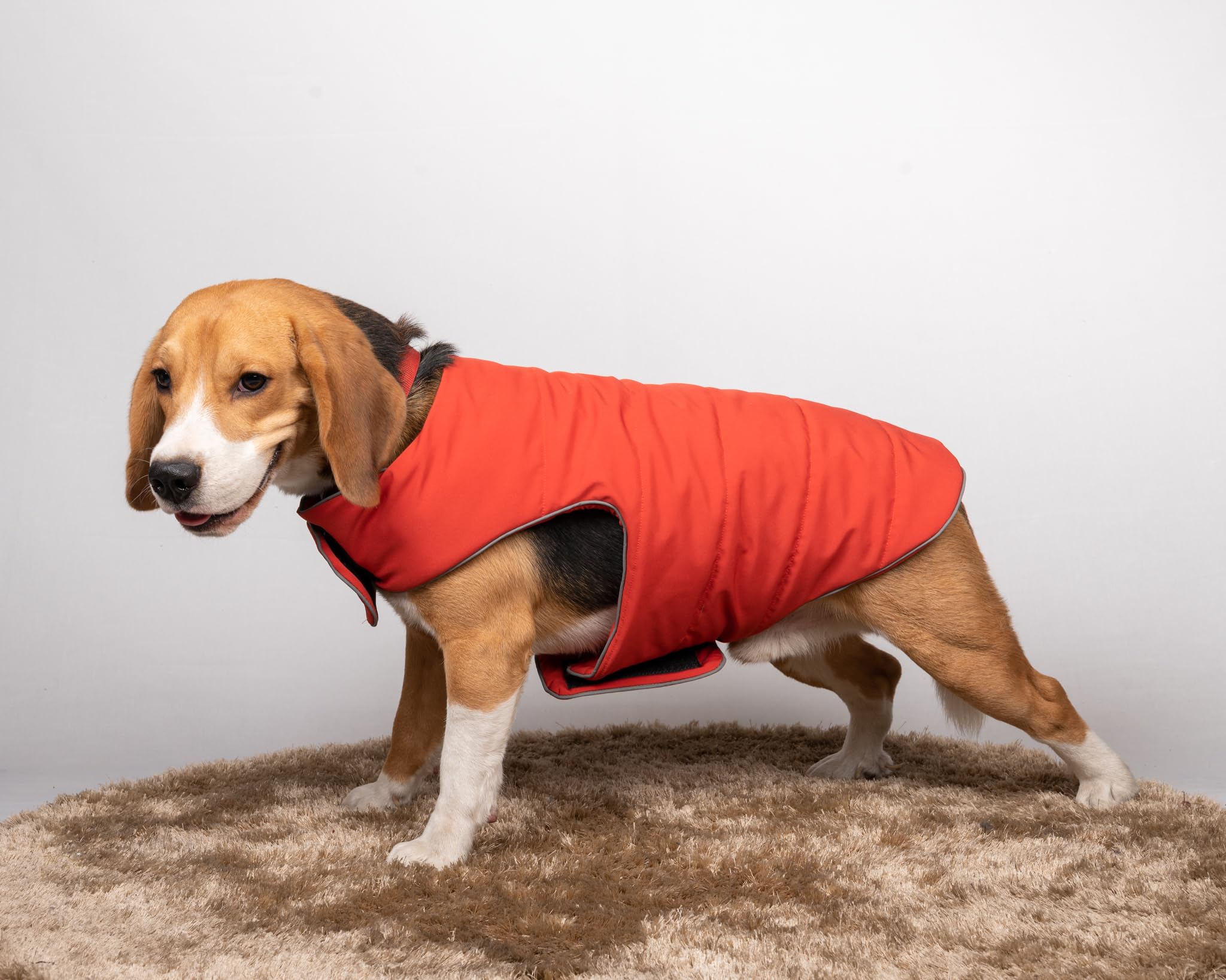 Petsnugs Rust Jacket Winter Wear Suitable For Dogs and Cats (S) (B0CB4DZ7ZN) Amazon Price History, Amazon Price Tracker