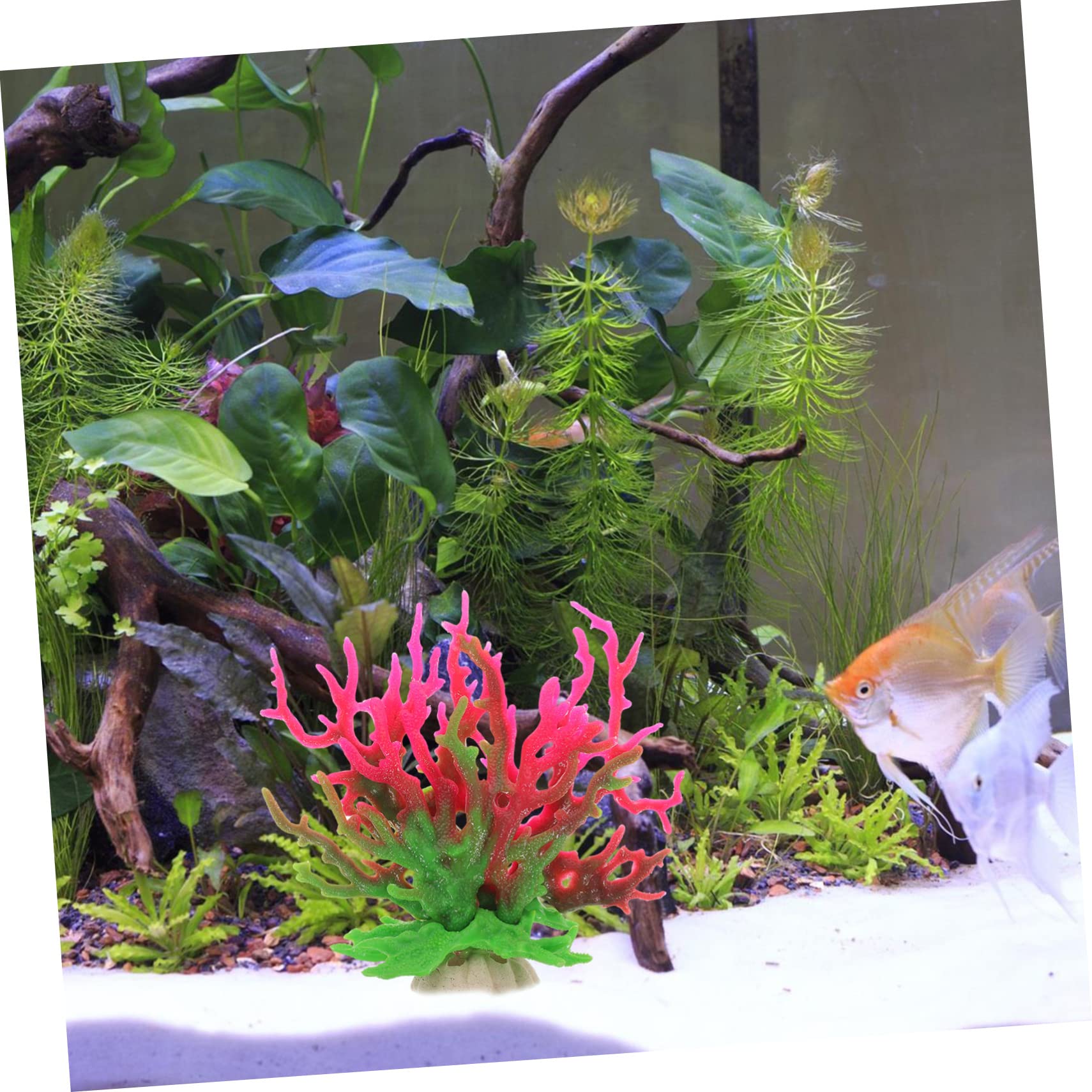 Sosoport 5stücke Künstliche Korallen-Dekoration Für Aquarien Korallenornamente Für Meerwasser Und Süßwasseraquarien Für Kreative Aquariengestaltung