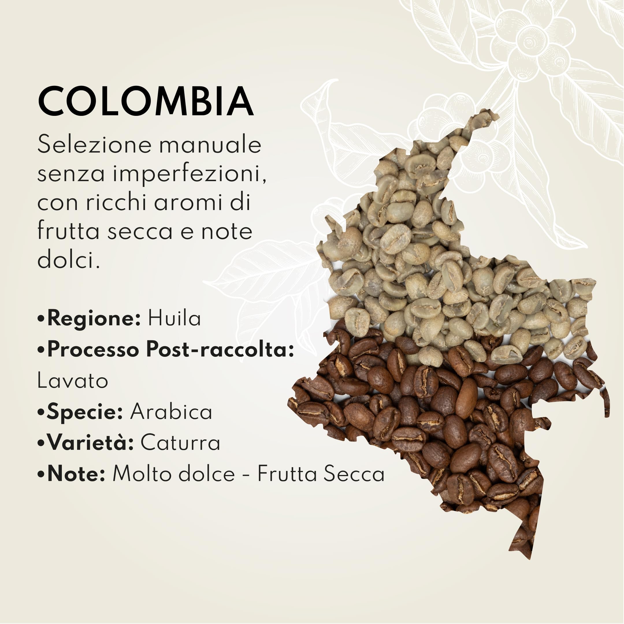 Bocono Specialty Coffee. Caffè Colombiano Specialty Coffe. Caffe in Grani 1 kg. Caffè in Grani Naturale di Specialità Tostatura Media Artigianale. Processo Lavato. Caffe in Grani Arabica per Espresso