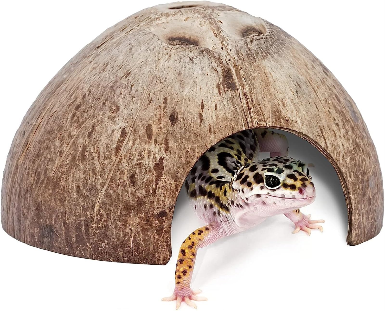 THE WHITE SHOP 2 Pack Natural Coconut Reptile Hideouts, Lizard, Spider and Aquarium Fish Hide Cave Smooth Surface