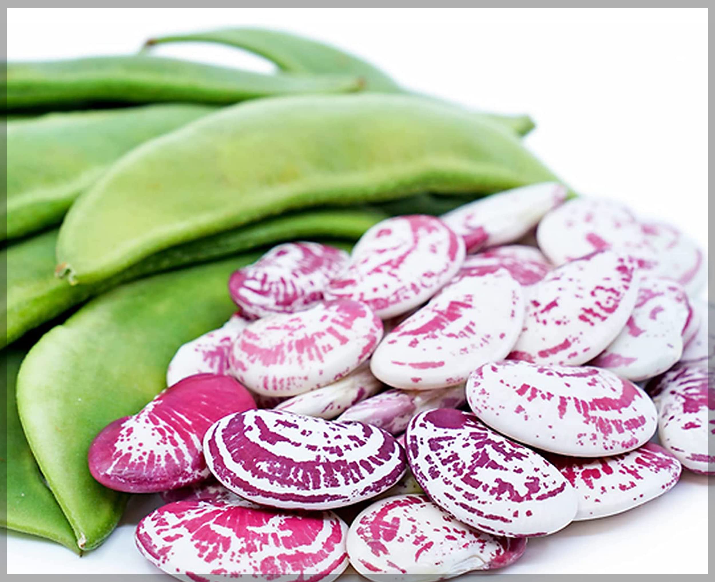 Double Beans - Red seed (Lima Beans) - Traditional Seeds (Pack of 10+ Seeds)- GardenHunt