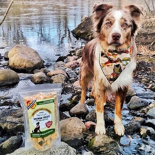 Miniatura 2 de Golosinas de salmón para perros  Hecho en Estados Unidos  1 Ingrediente Salmón Americano capturado en la naturaleza  Cruda liofilizada, grado humano