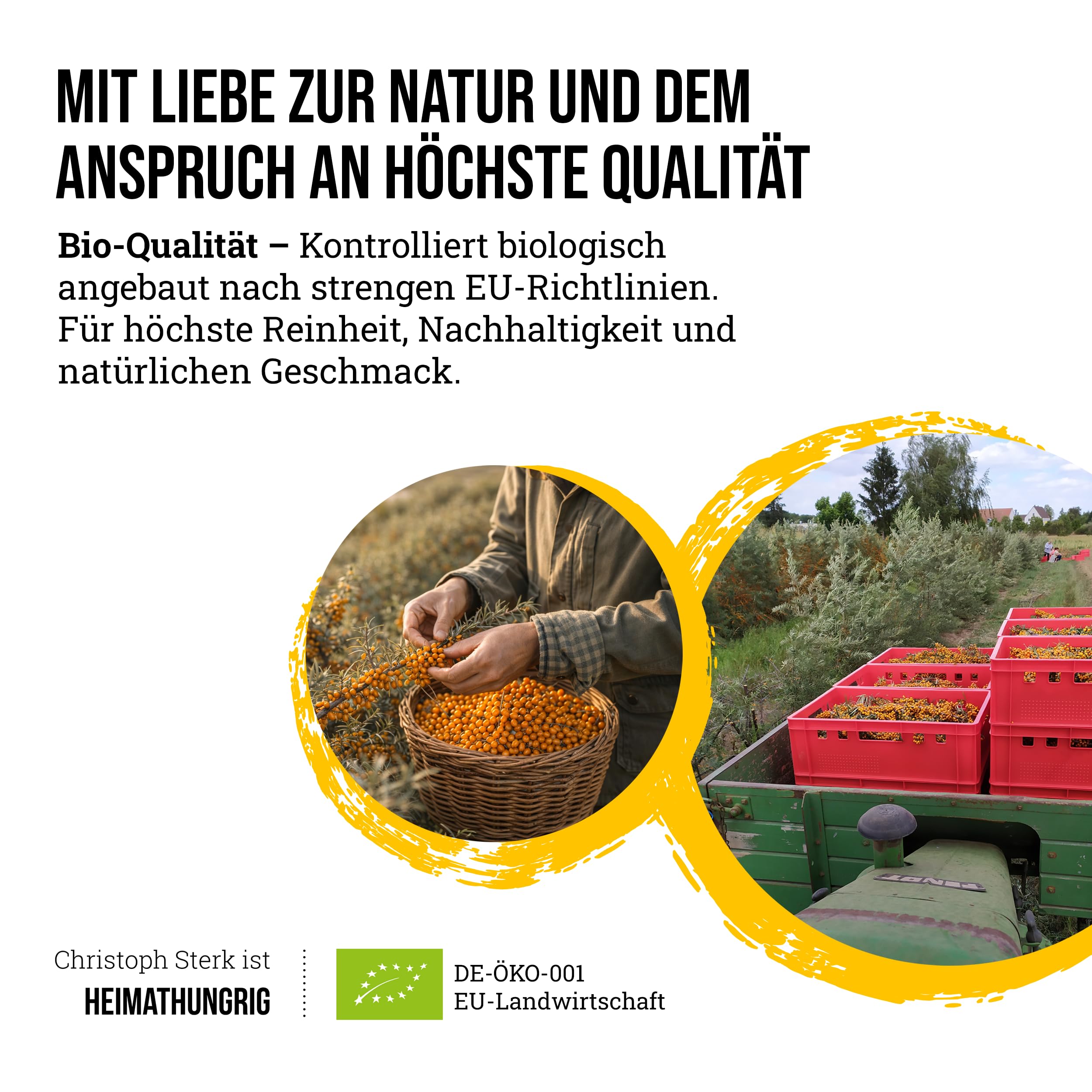 Heimathungrig - Bio Sanddorn Direktsaft 6x0,75L - Fruchtsaft aus 100% Sanddornbeeren - naturtrüber, vegan & ungesüßt - Natürlicher Sanddornsaft ohne Zuckerzusatz (Regionaler Saft aus Deutschland)