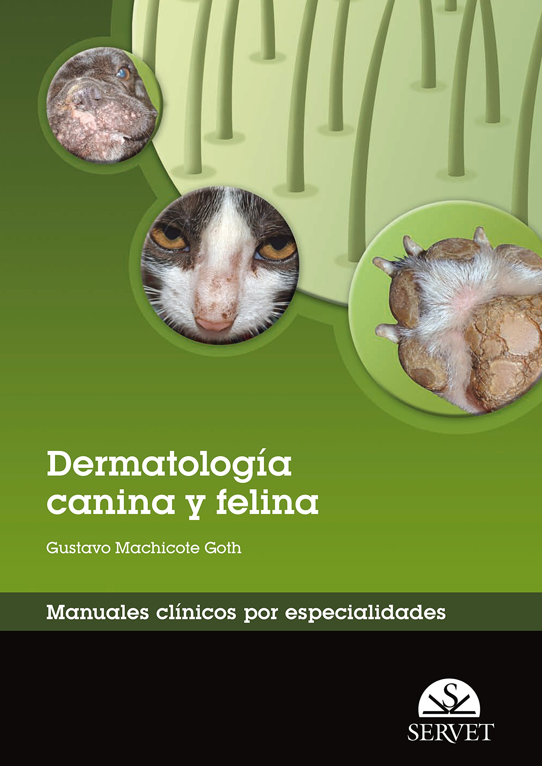 Dermatología canina y felina Manuales clínicos por especialidades