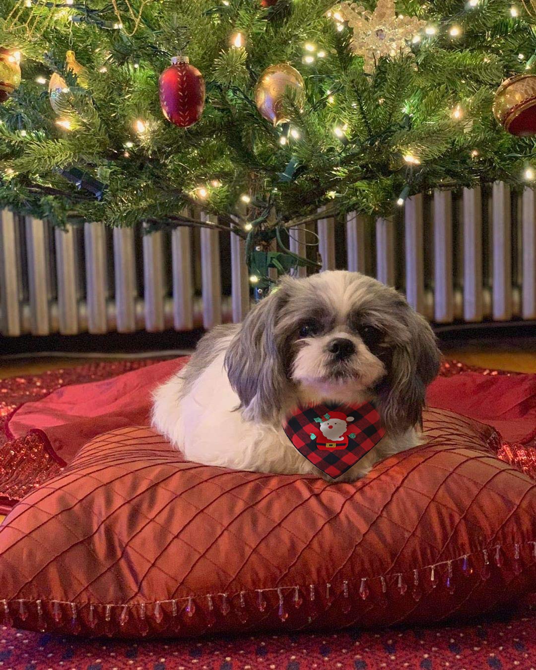 BoomBone 2 Unidades de pañuelo de Navidad para Perro con diseño de Papá Noel y muñeco de Nieve