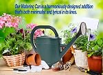 Watering Can 1 Gallon for Garden, Indoor Plants, Outdoor Plant House Flower, Large Long Spout with Sprinkler Head (Grey)