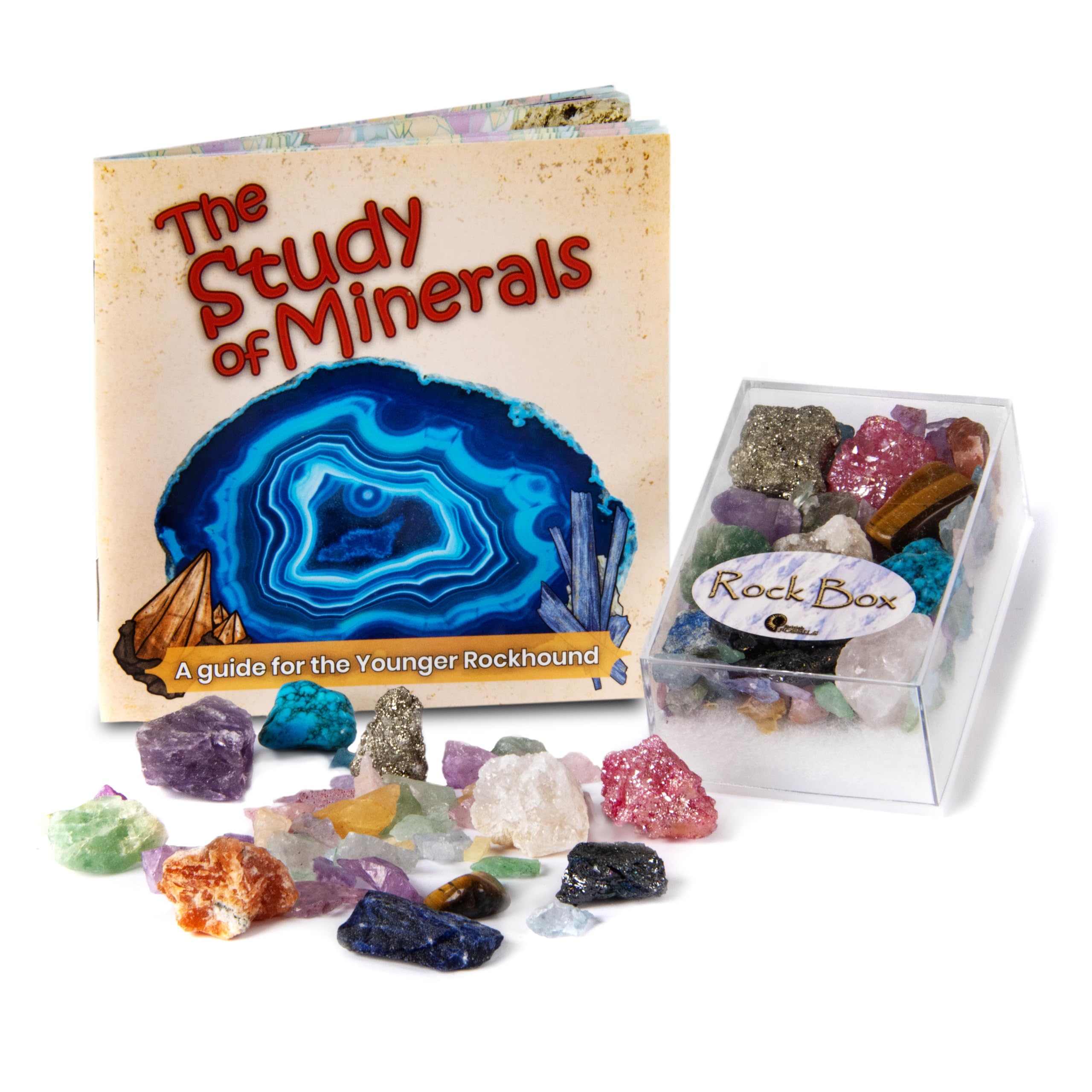 Rock Box - Unique Genuine Mineral Collection with Study of Minerals Educational Booklet, 11 cm x 16.5 cm x 5.5 cm