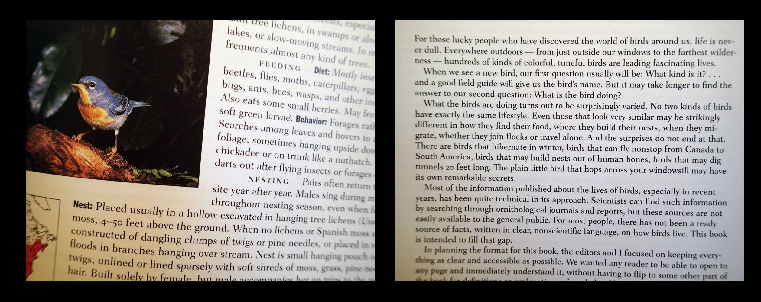 Lives of North American Birds (Peterson Natural History Companions) - Image 3