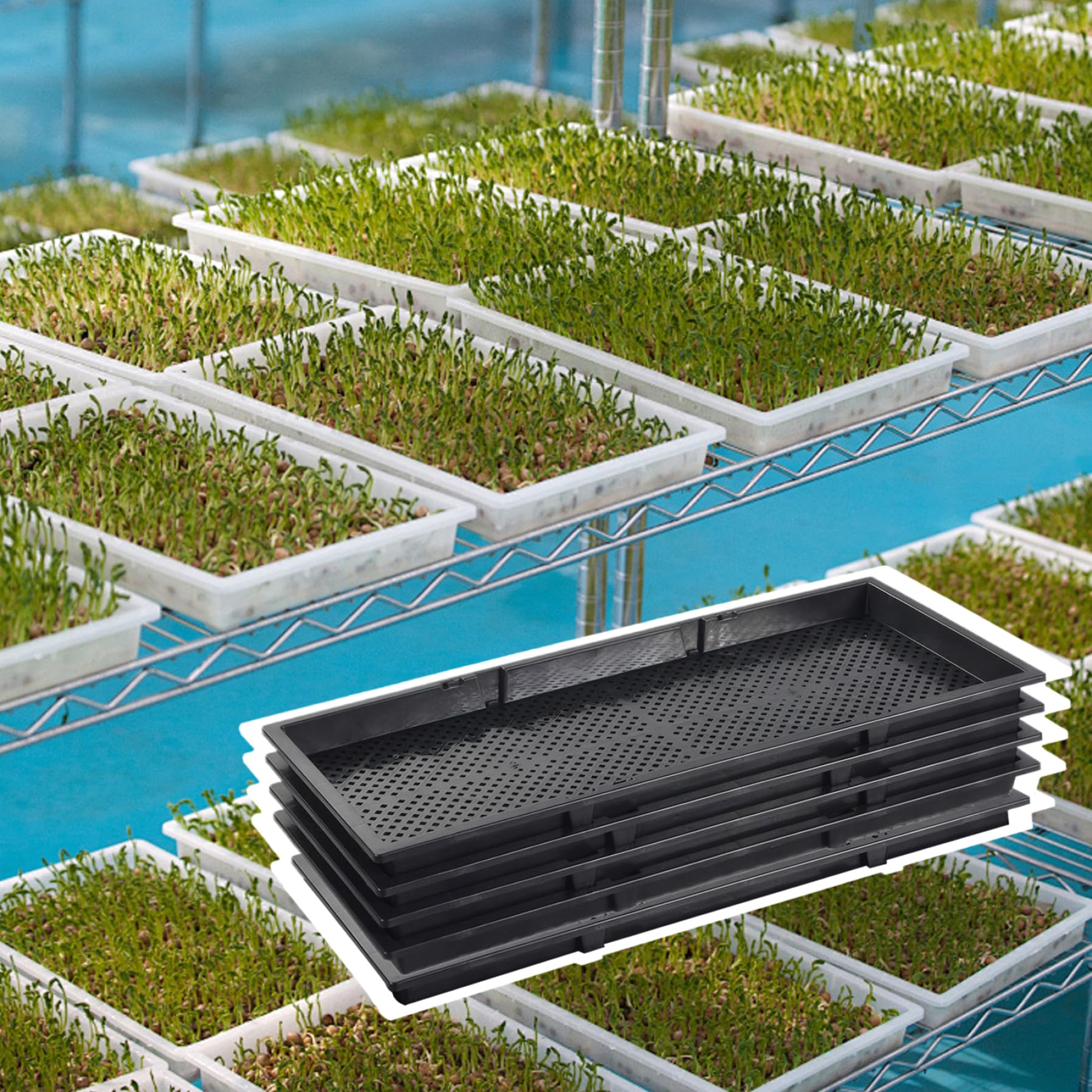 Plateau de démarrage de graines 5 pièces 22x9, 5, Plateau semis avec Fond en Maille en polypropylène, Plante réutilisable pour semis, Jardinage d'intérieur, microgreens