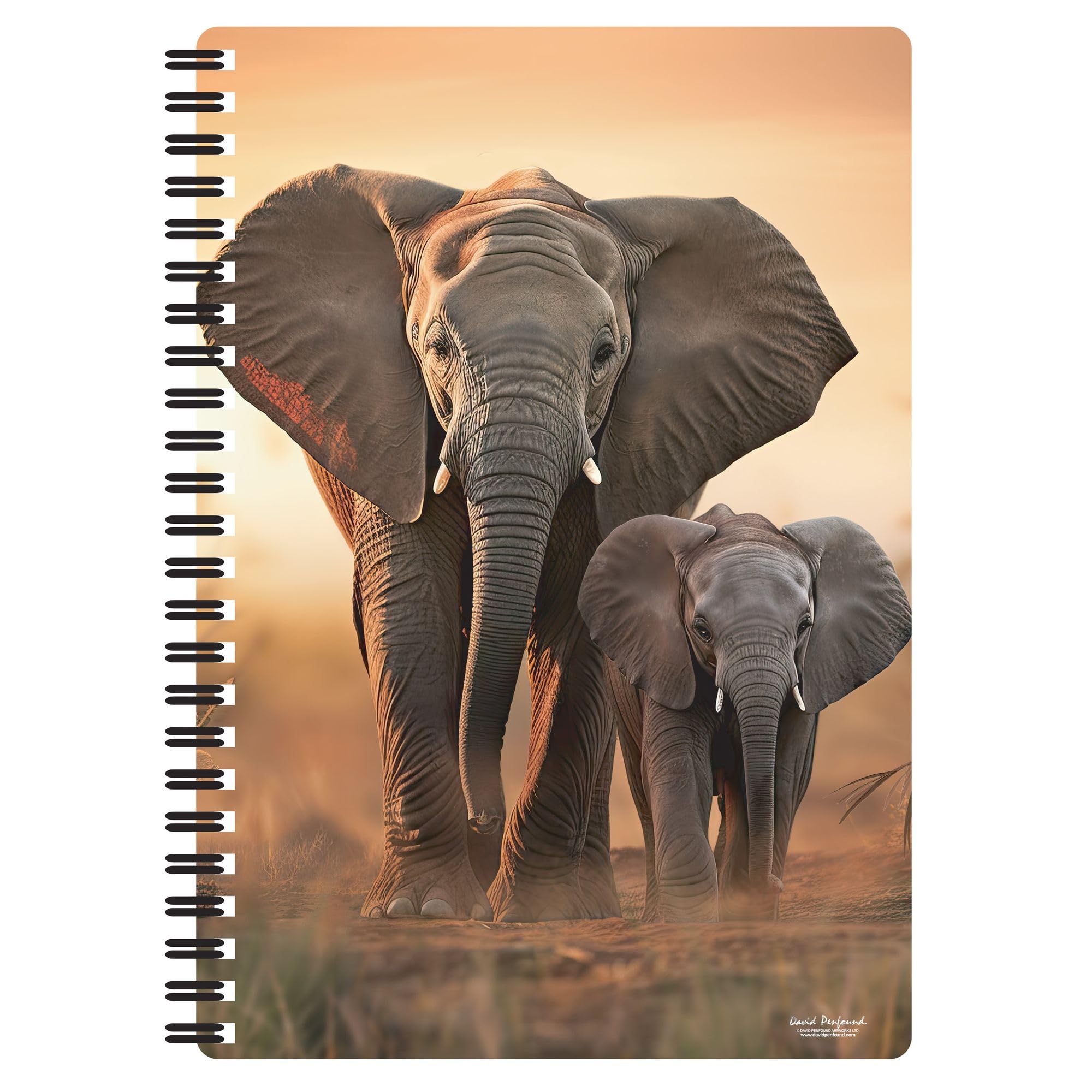 3D LiveLife A5 Notebook, Sunset Stroll from Deluxebase. Spiral Bound Lined Notebook with 80 Recycled Pages