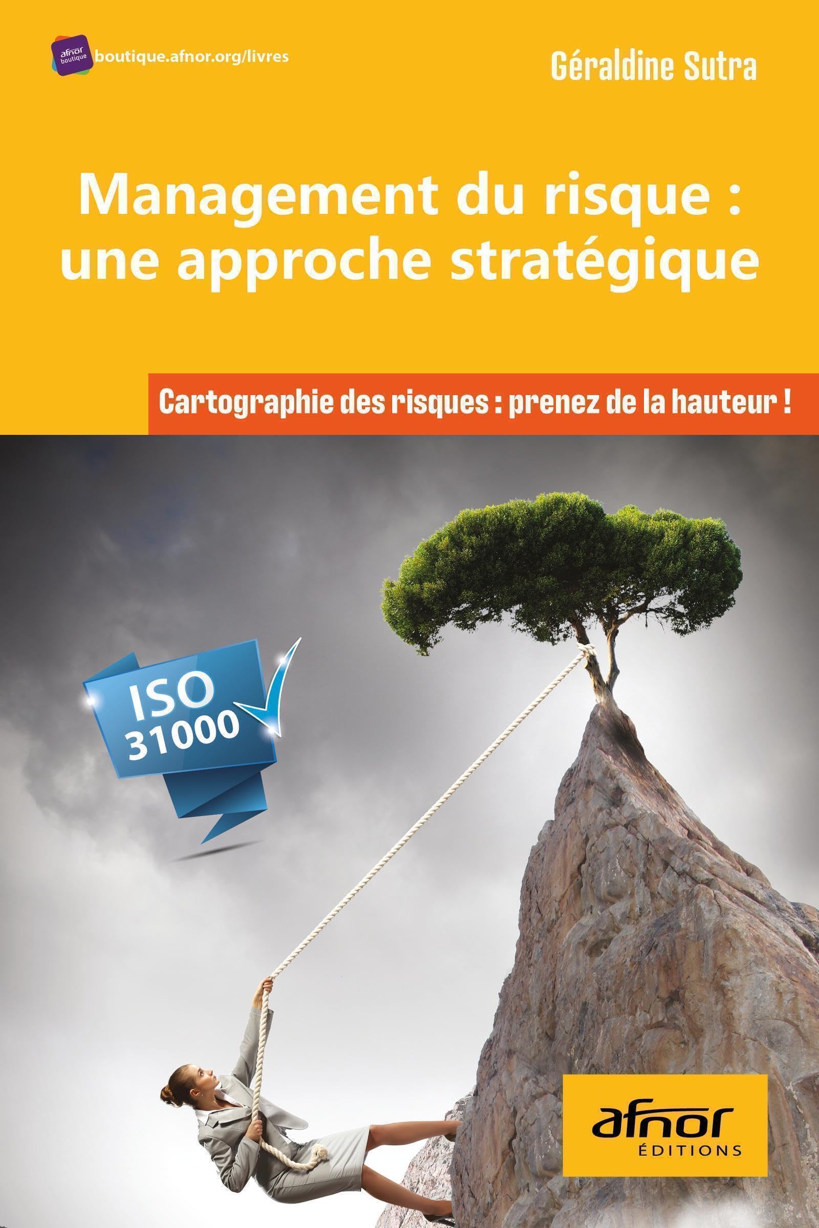 Management du risque : une approche stratégique: Cartographie des risques : prenez de la hauteur !