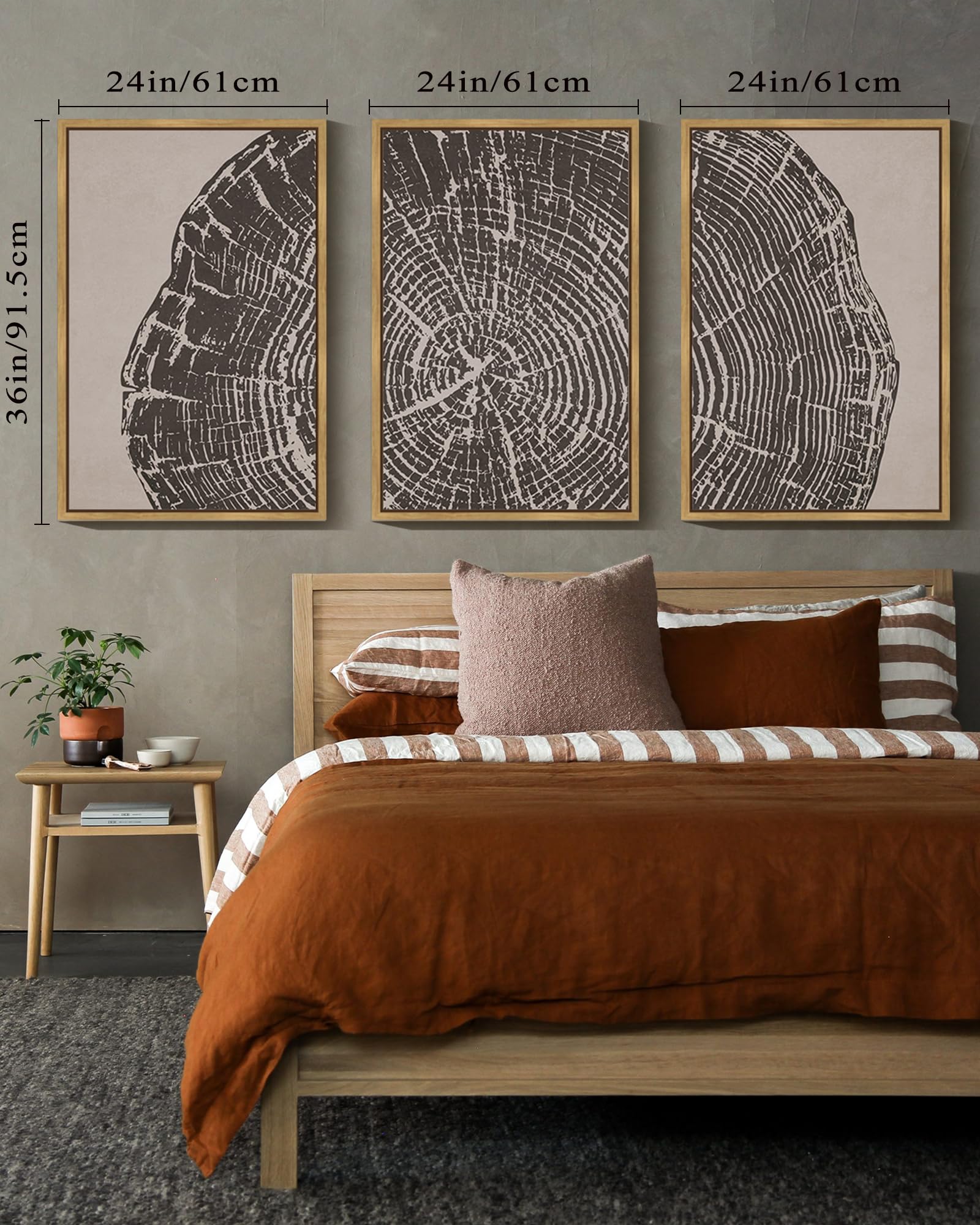 https://m.media-amazon.com/images/I/81ZK-hJRvmL.jpg
