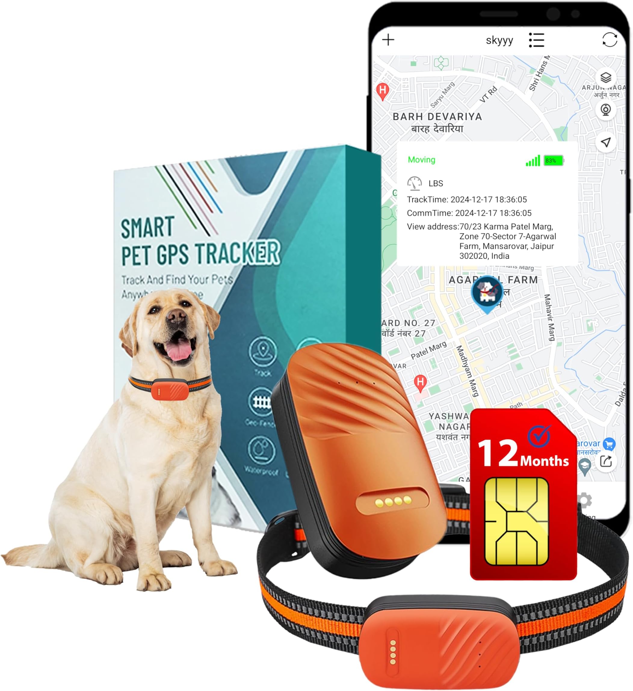 Buy Tractive LTE GPS Dog Tracker - Location & Activity Tracker for Dogs ...