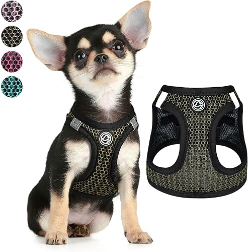Step in - Arnés para perro pequeño (para perros de menos de 20 libras), arnés de malla de aire para perro, chaleco para cachorro y gato XXXS-L,