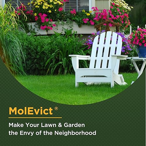 Miniatura 3 de Aceite de castor, MolEvict, 32 onzas.