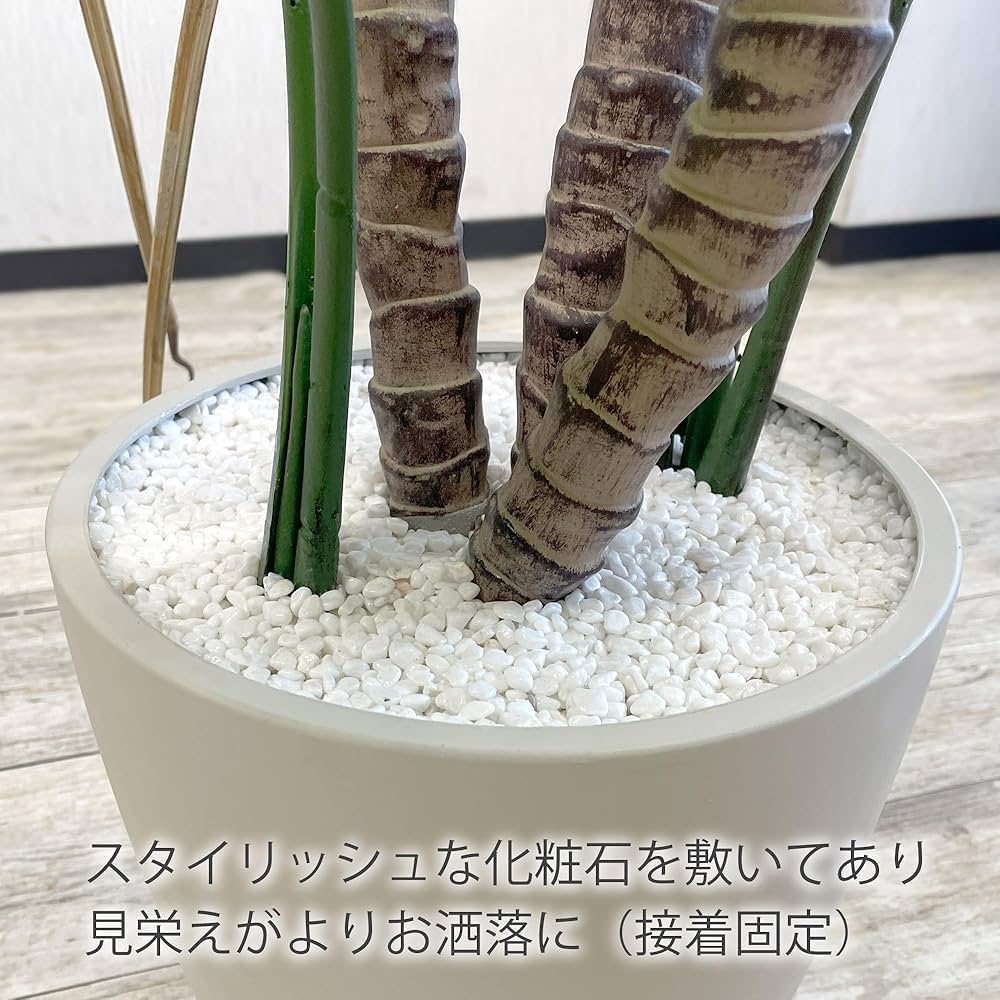 モンステラ 観葉植物 大きな切れ込み 大型 室内用 引き取り限定