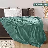 Vista 217 de Utopia Bedding - Manta de vellón de lujo, mullida, antiestática; manta de suave microfibra de 8.8 oz/yd² (300 g/m²) para cama; tamaño individual