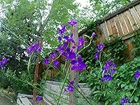 Review Image by Cole Y. Cole Y.