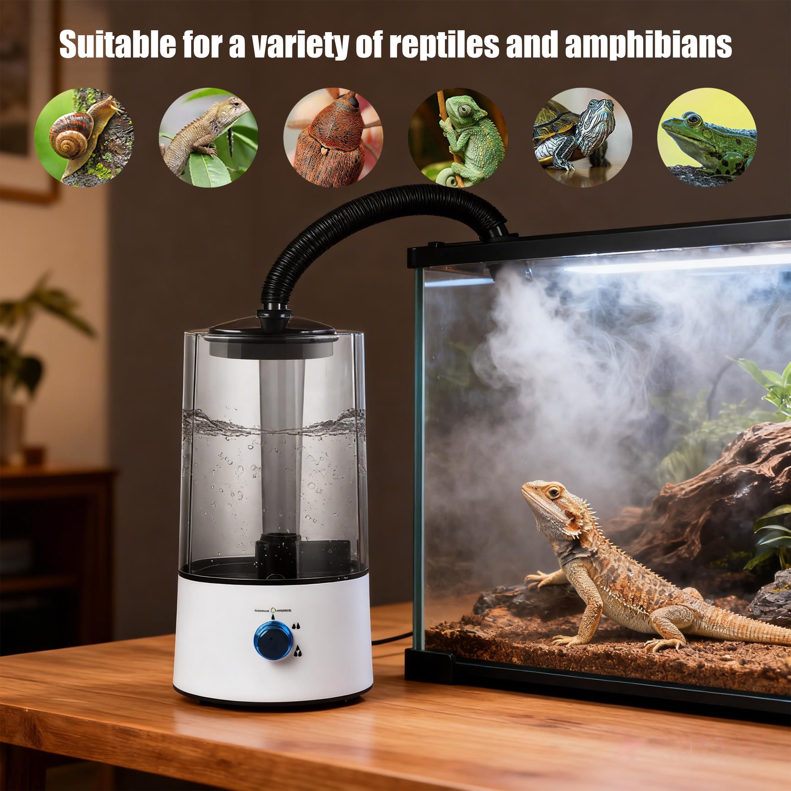 Rettili Umidificatore Terrario