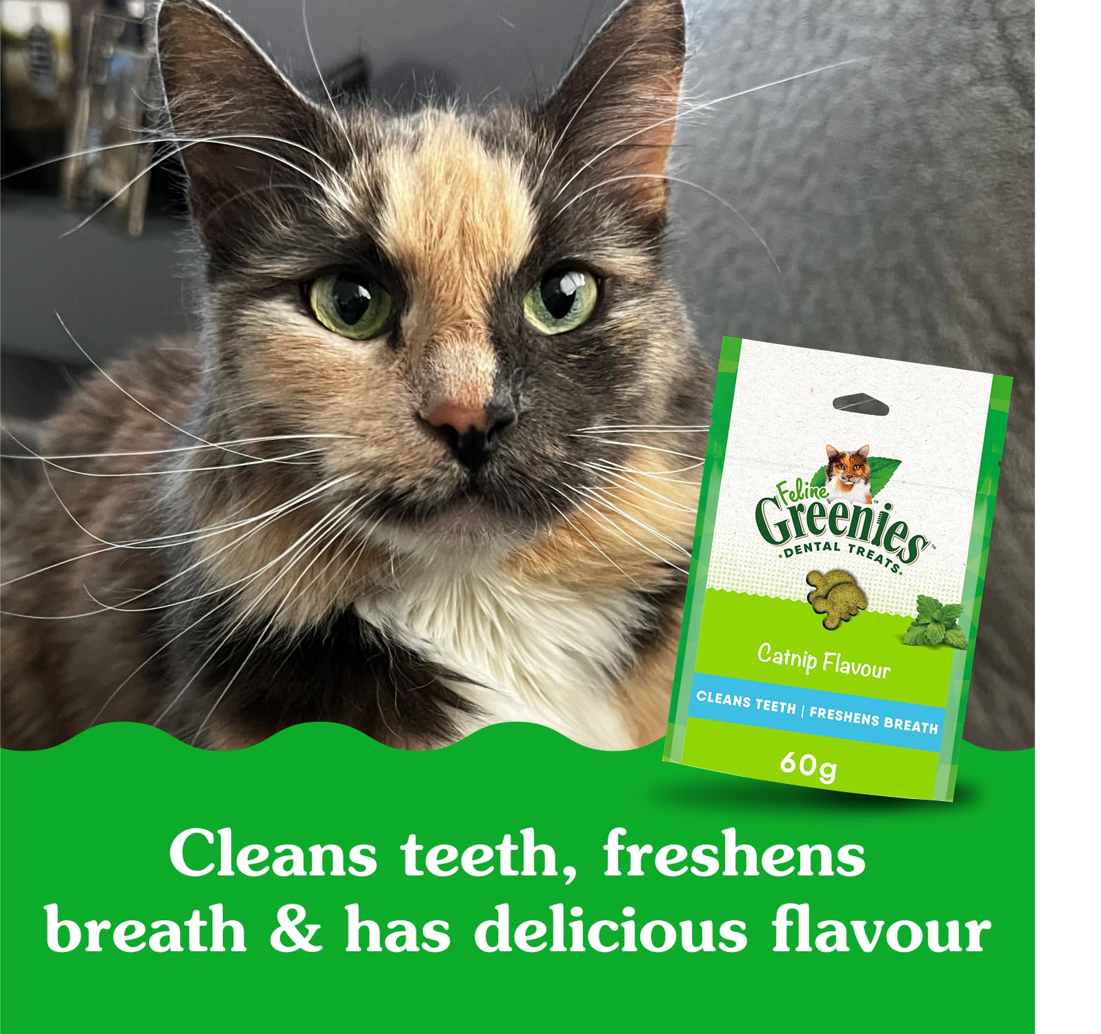 GREENIES Feline Cat Treats Adult Natural Dental Care, Catnip Flavour, 2.1oz. Pouch 60 g (Pack of 1) - 3