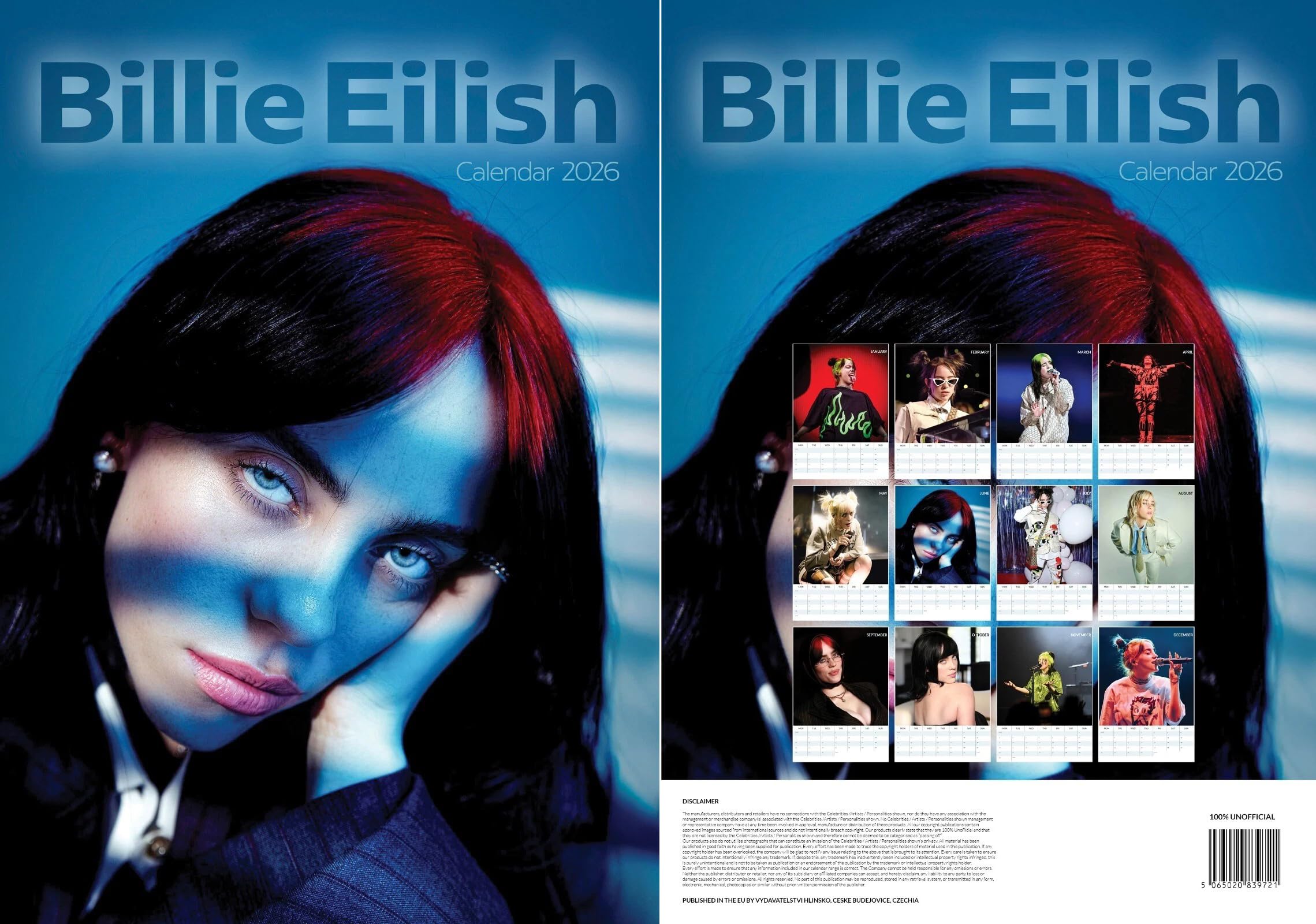 Billie 2026 Calendar, A3 Size 30 x 42 cm, 12 Months Great Photography - RR