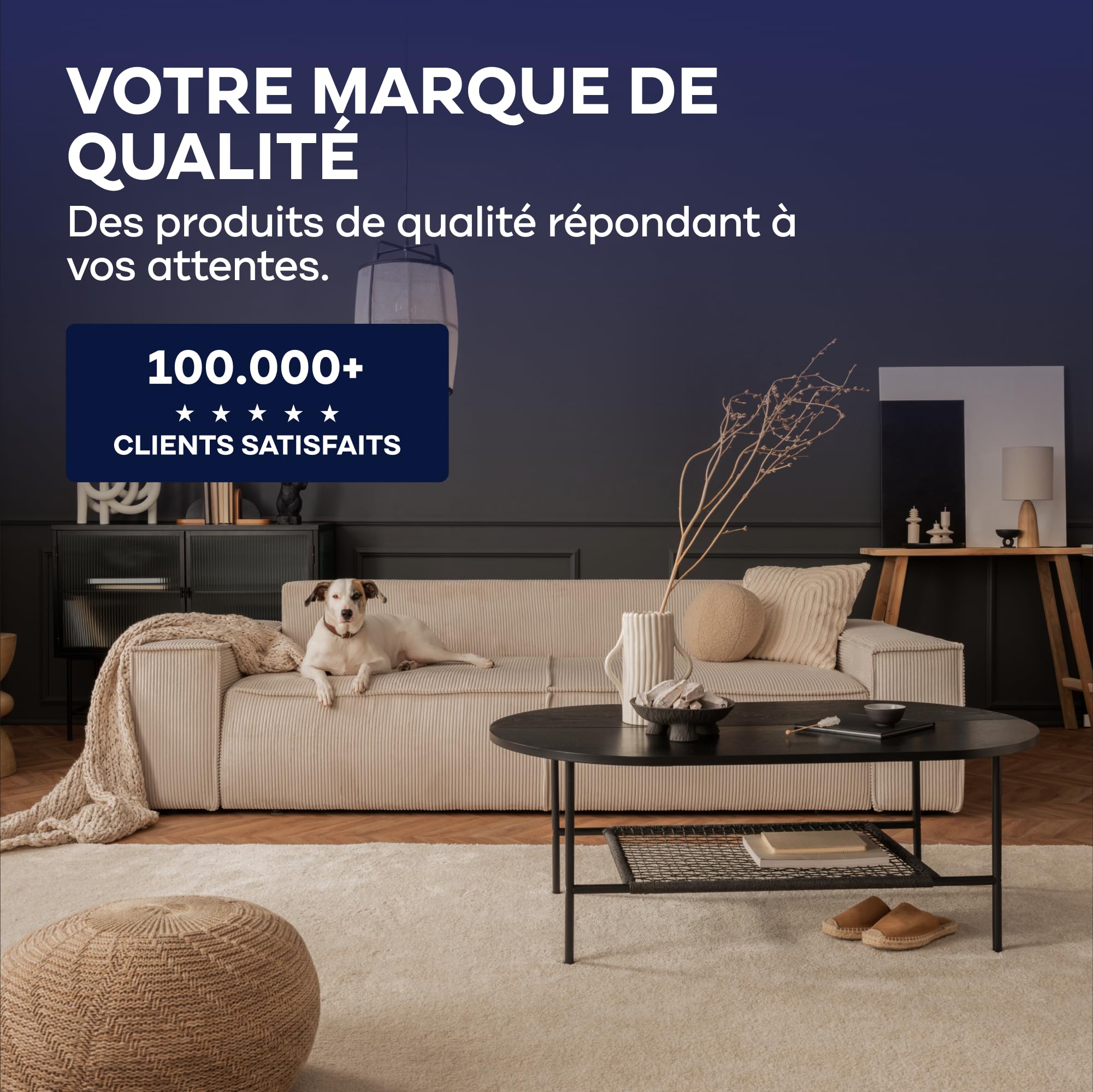 Plid® Peinture murale intérieure Blanc 5 L pour env. 30–35 m² – Couleur Design [Douce lumière] - Finition mate – Haute couvrance – Séchage rapide - Faible odeur - Décoration murs
