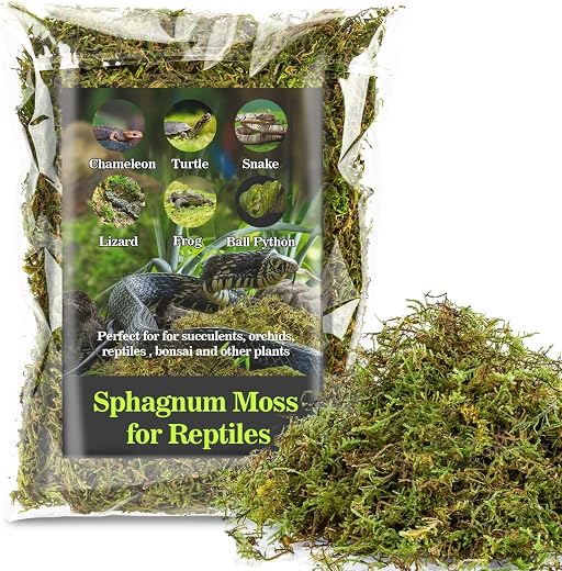 Reptiles & Amphibian Supplies