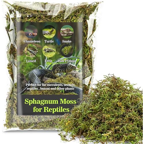 Sukh Sphagnum Moss for Reptiles - Green Terrarium Moss Substrate, 5oz