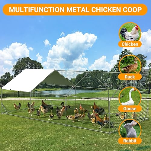 Miniatura 4 de Gallinero grande de metal, corridos de pollo para patio con cubierta, corralito grande con doble puerta, gallinero para patio de granja al aire