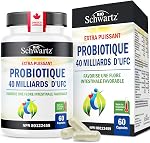 Probiotic 40 Billion CFU - Synbiotics Gut Health - Proudly Canadian Made - Bloating Relief & Digestive Health Support - Guaranteed Potency Probiotics for Men & Women - Shelf Stable, Non-GMO, 60ct