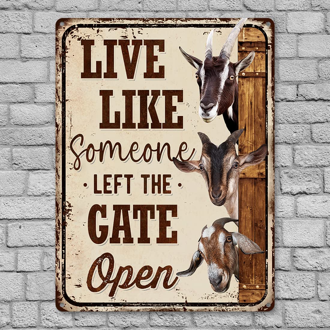 G.O.A.T. Rust In Peace Lサイズ Amazon.com: Funny Goats Metal Sign - Live Like Someone Left The