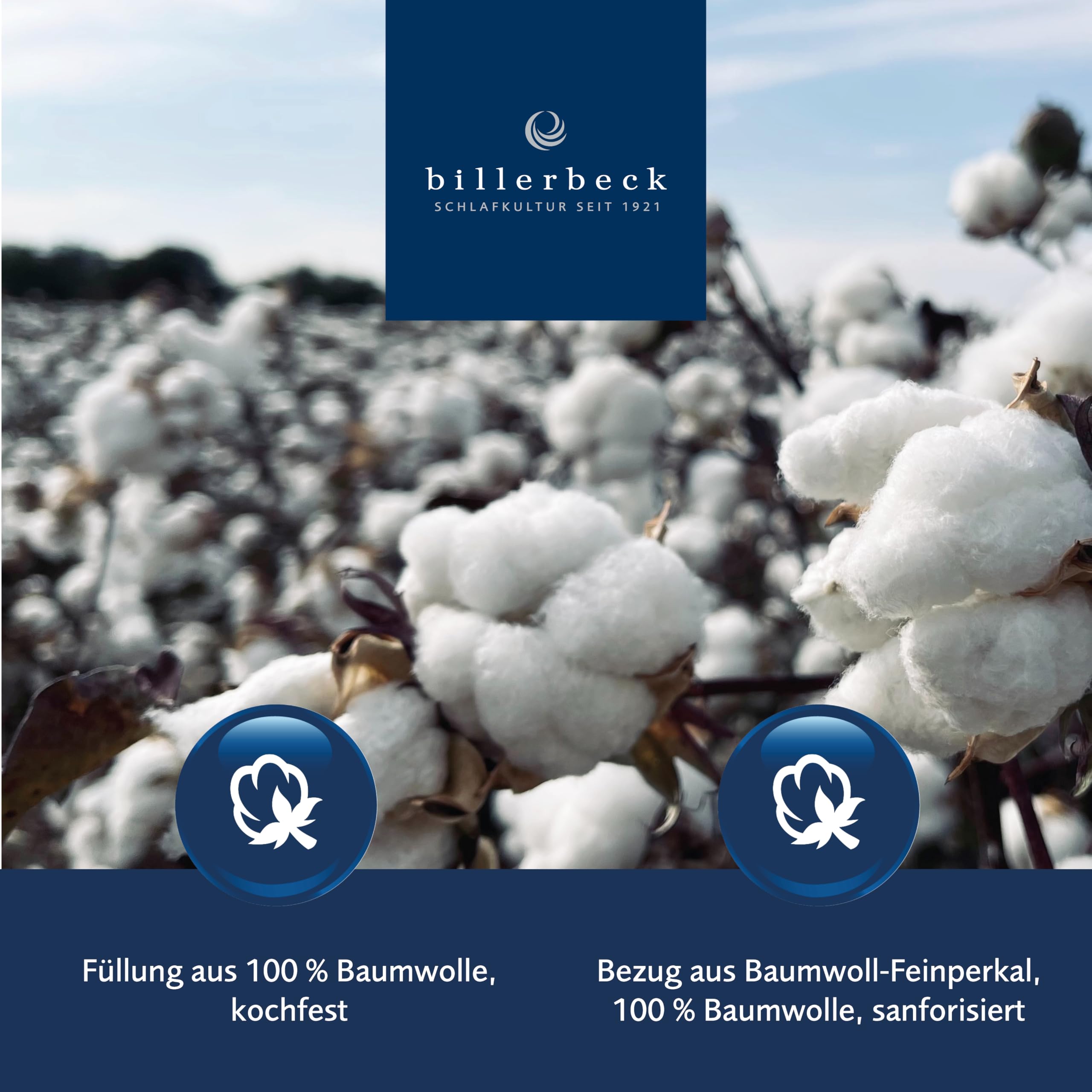 Billerbeck Bettdecke COTTONELL® – 135 x 200 cm – leichte Sommerdecke – Decke aus 100% Baumwolle - vegan