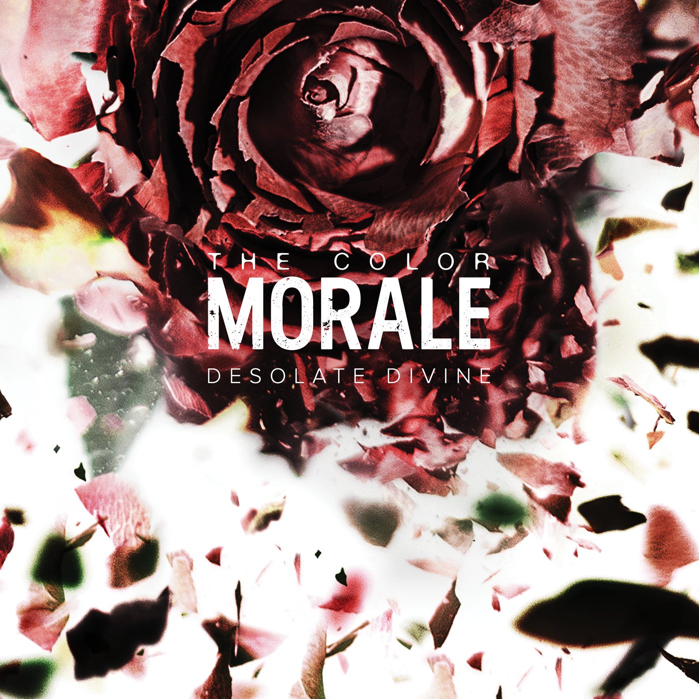 The Color Morale