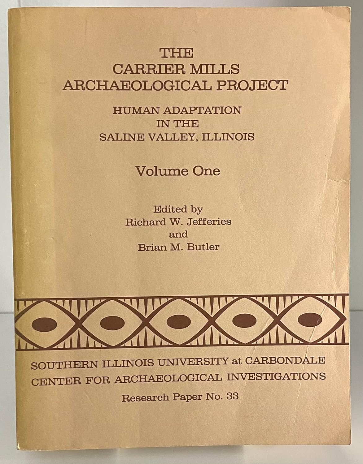 Buy The Carrier Mills Archaeological Project Human Adaptation in the