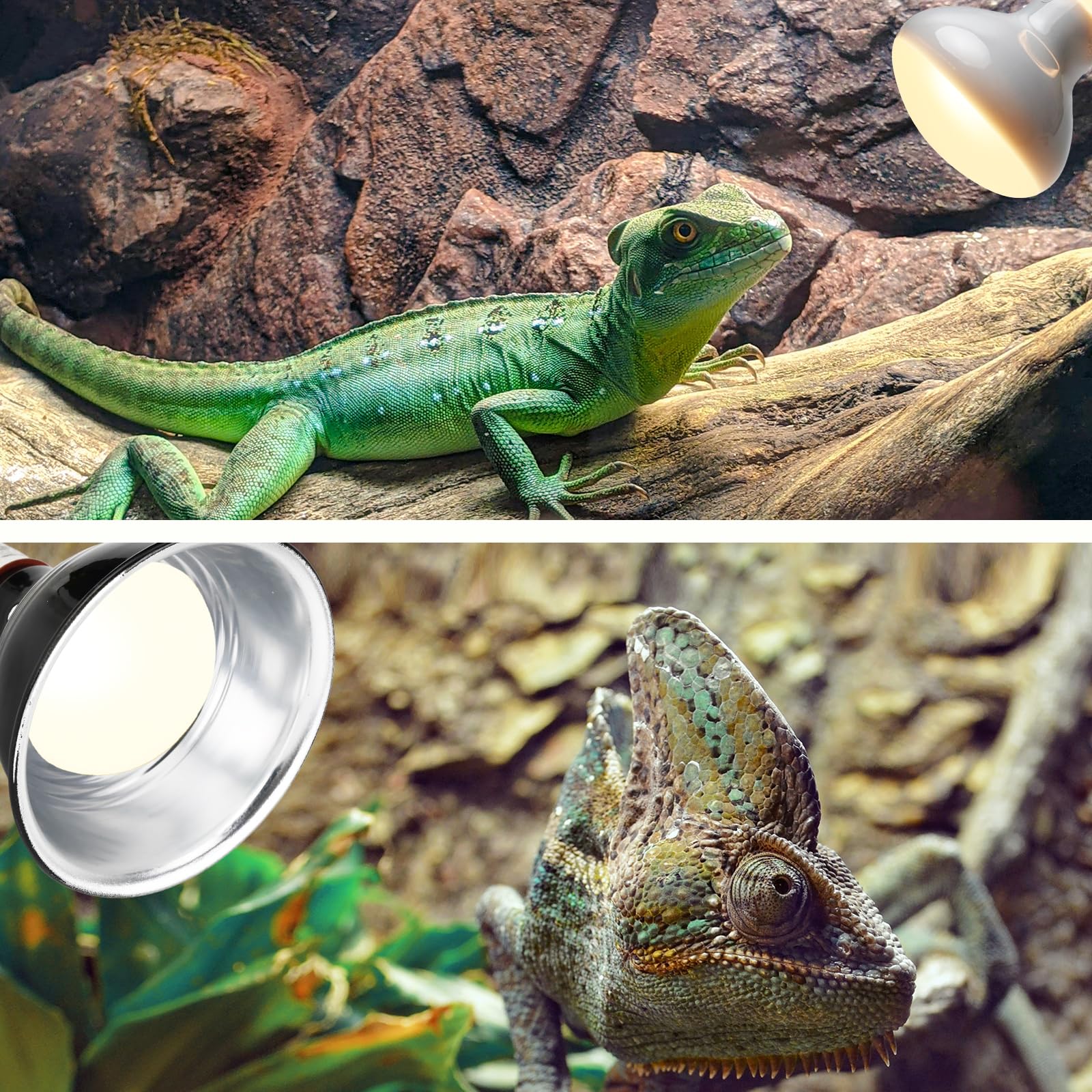 MCLANZOO Lámpara de calor para reptiles de 75 W, paquete de 2, bombillas UVA, lámpara de calor de terrario de luz diurna natural para dragón barbudo, tortuga, tortuga, lagarto, serpiente, geco, pollo
