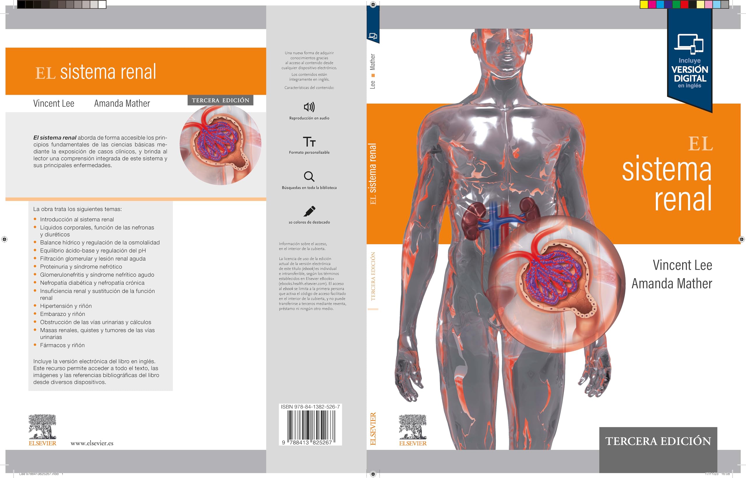 El sistema renal