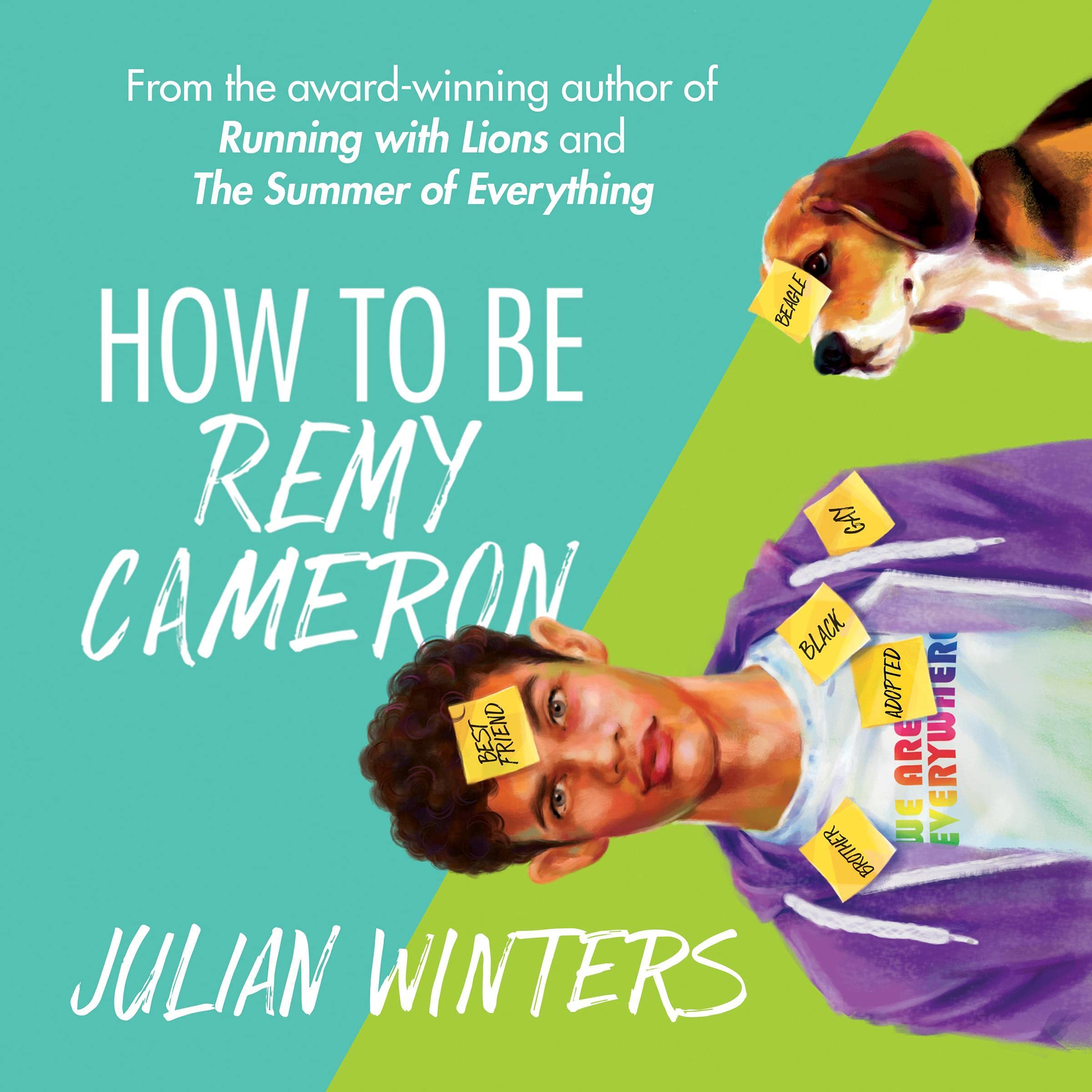 Cover art for How to Be Remy Cameron