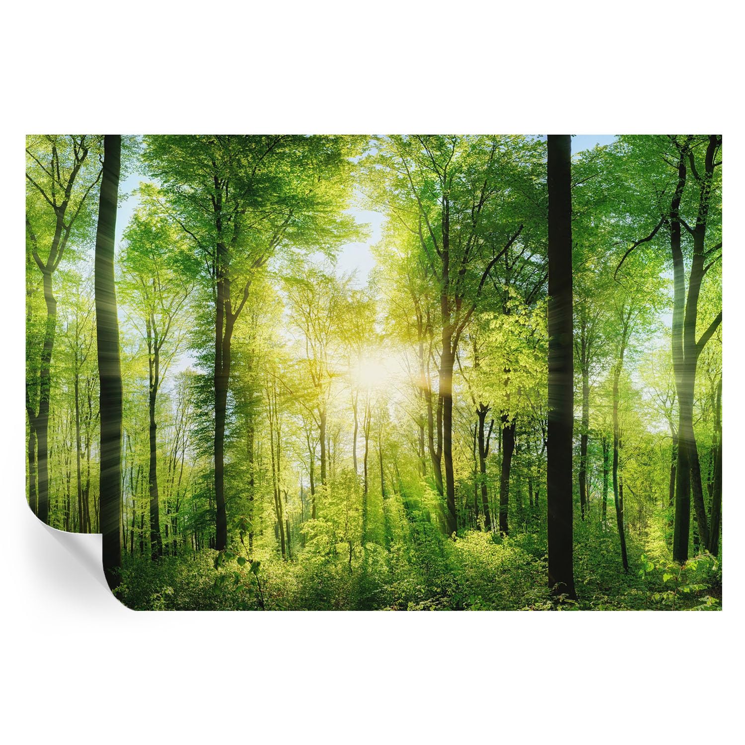 Vinilos de pared Armonía del bosque de 152x104 cm para decoración