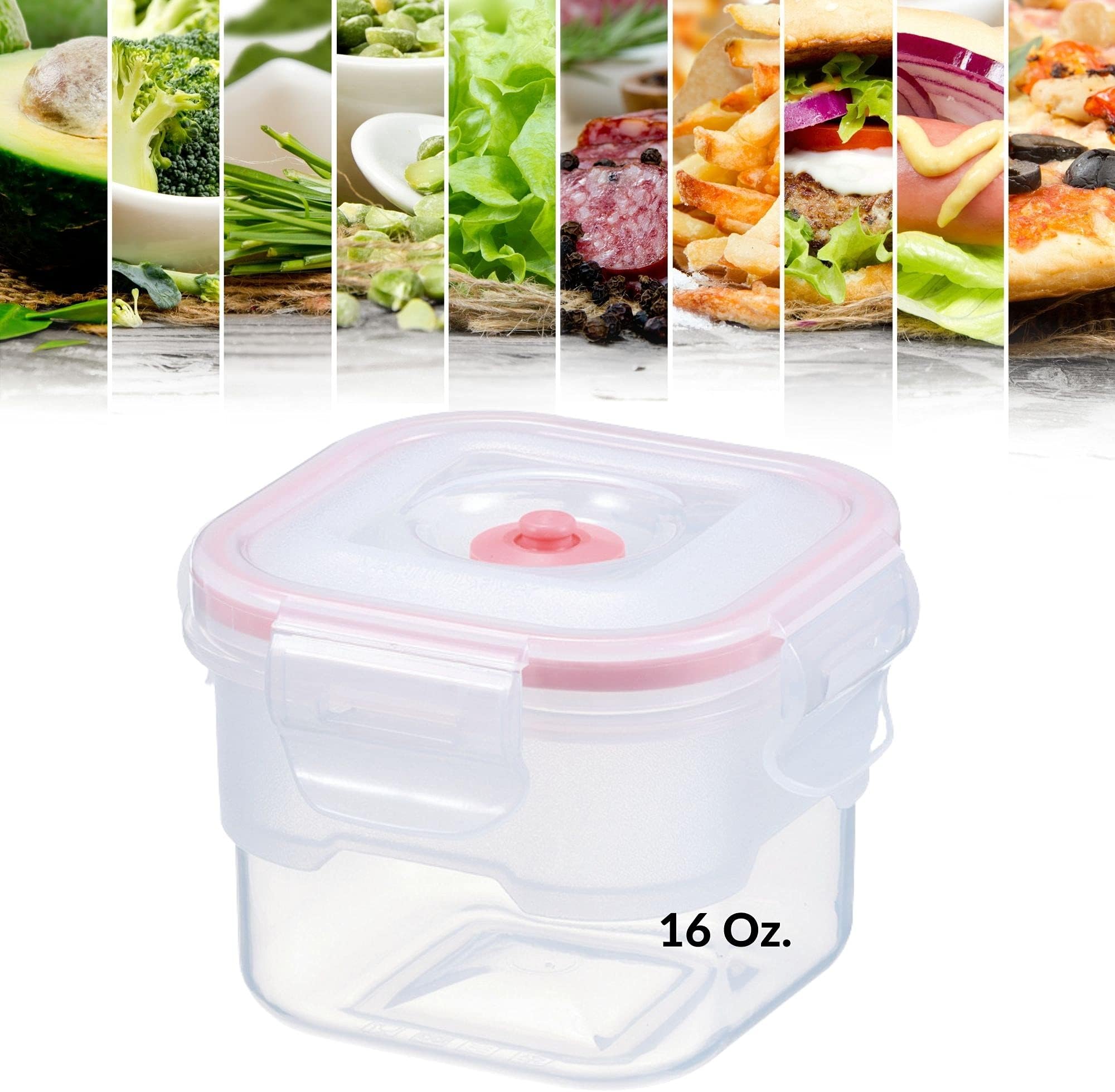 Lasting Freshness Vacuum Seal Food Storage Container - Quick Marinator - Square - 450ml /16oz - Coral Color