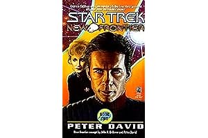 Into the Void (Star Trek: New Frontier Book 2)