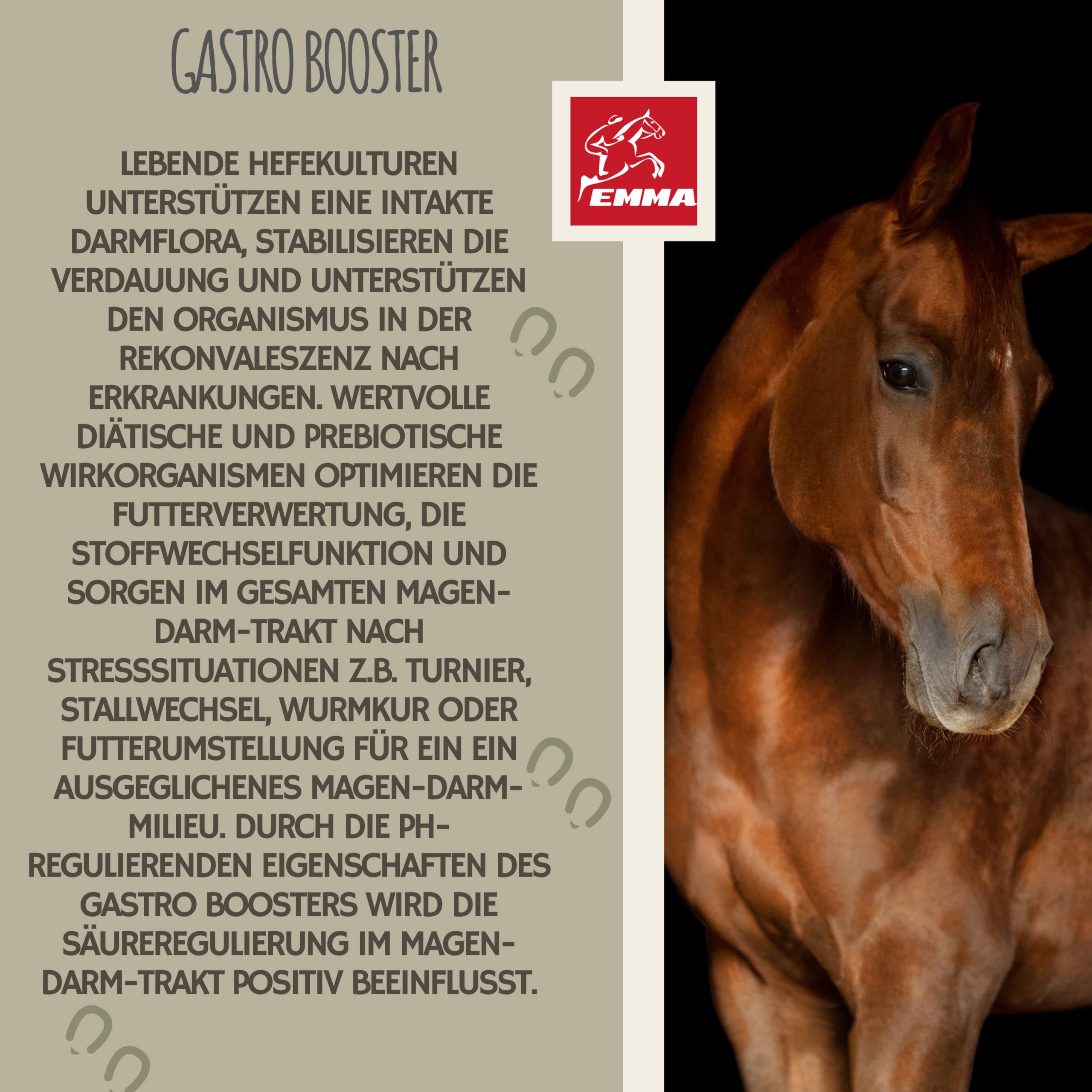 Pâte Gastro-intestinale Probiotiques Levure de bière Cheval I Vitamine E I Culture de levure Flore intestinale Gastro-intestinal - vitaminée I après colique Ecume diarrhée métabolisme Cheval 30ml